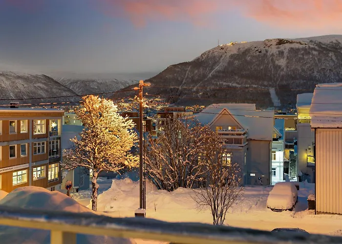 Arctic Homes - Aurora Skyhouse